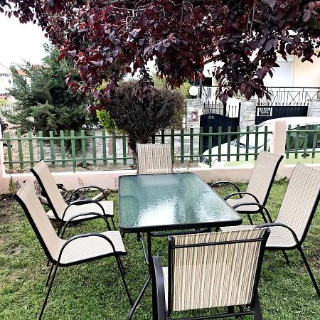 Dimitra'S And Nasia'S Villa Psakoudia Zewnętrze zdjęcie