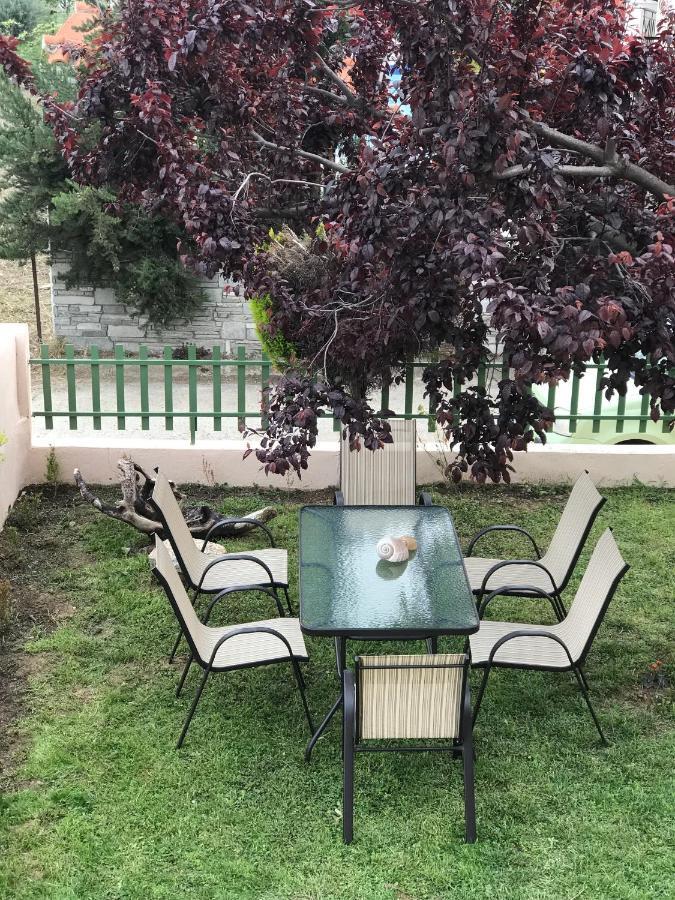 Dimitra'S And Nasia'S Villa Psakoudia Zewnętrze zdjęcie